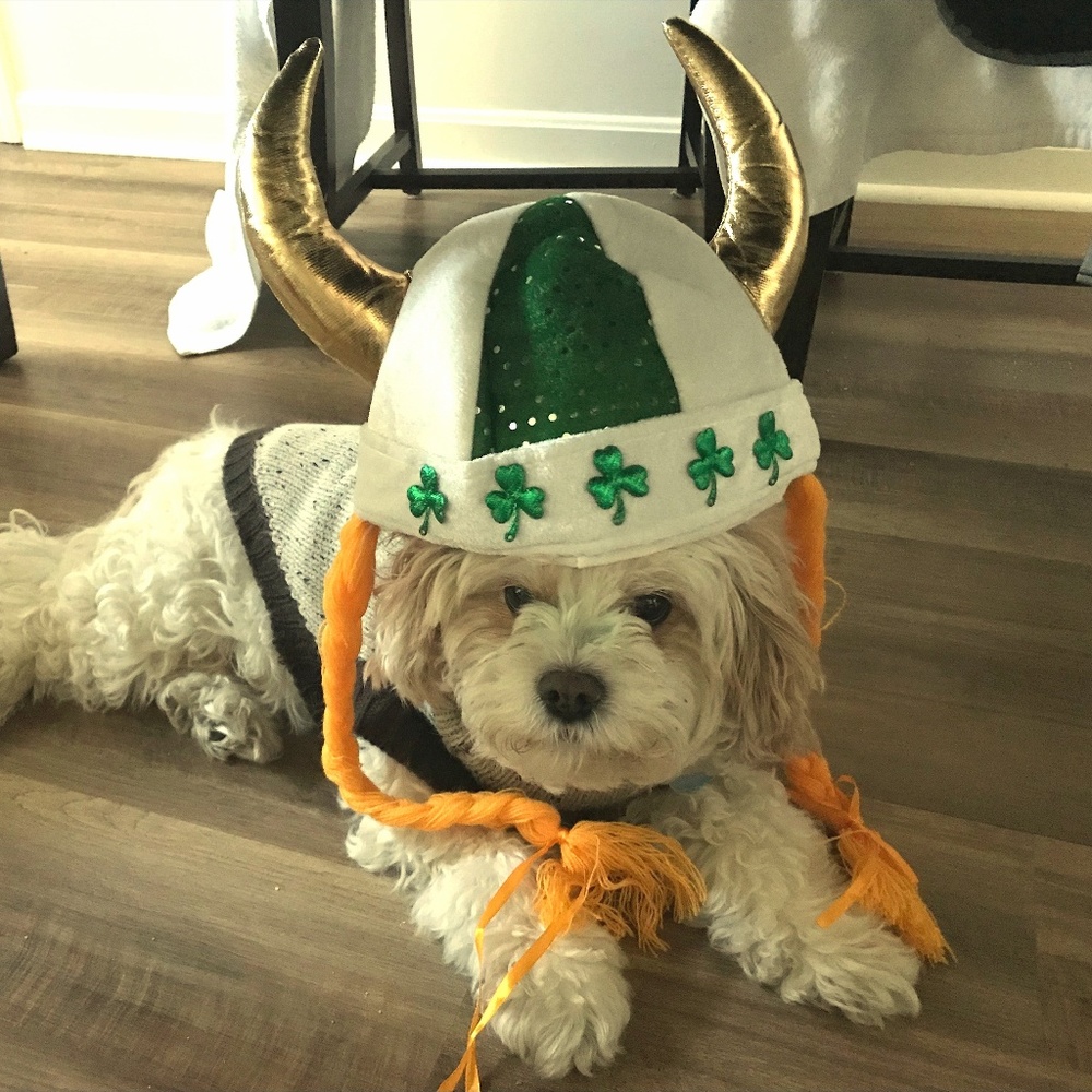 Meet your Posher, Kate